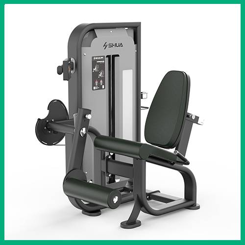 室内健身器材-踢腿训练器SH-G6810T