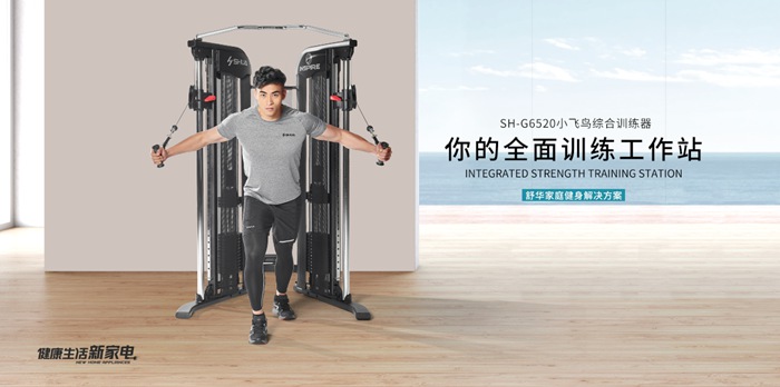 快盈VIII健身器材-小飞鸟综合训练器SH-G6520